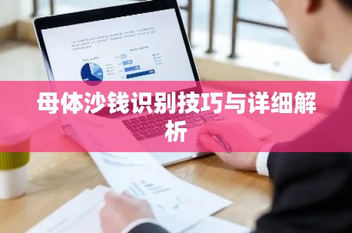 母体沙钱识别技巧与详细解析