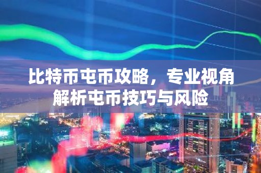 比特币屯币攻略，专业视角解析屯币技巧与风险