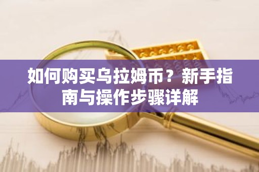 如何购买乌拉姆币？新手指南与操作步骤详解