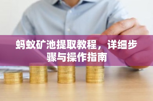 蚂蚁矿池提取教程，详细步骤与操作指南