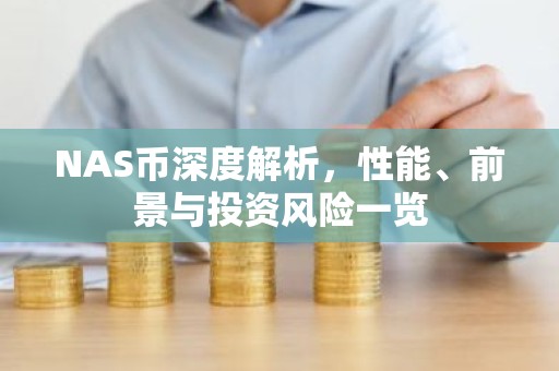 NAS币深度解析，性能、前景与投资风险一览