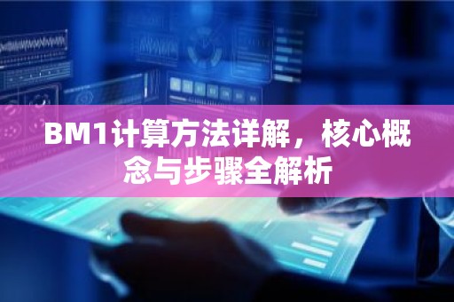 BM1计算方法详解，核心概念与步骤全解析
