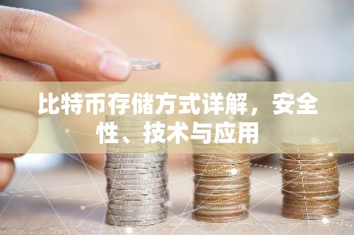 比特币存储方式详解，安全性、技术与应用