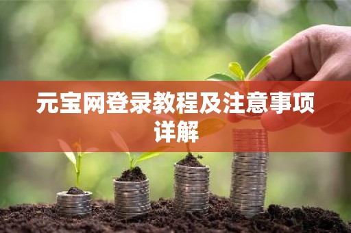 元宝网登录教程及注意事项详解