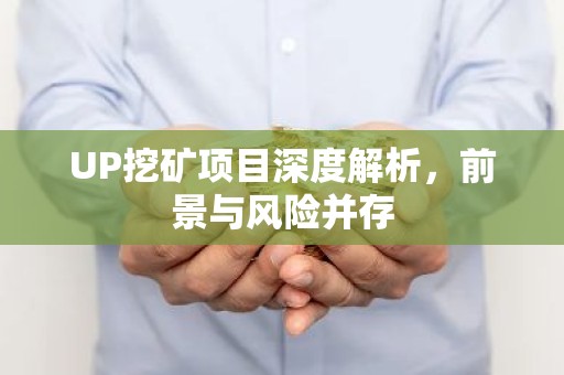 UP挖矿项目深度解析，前景与风险并存