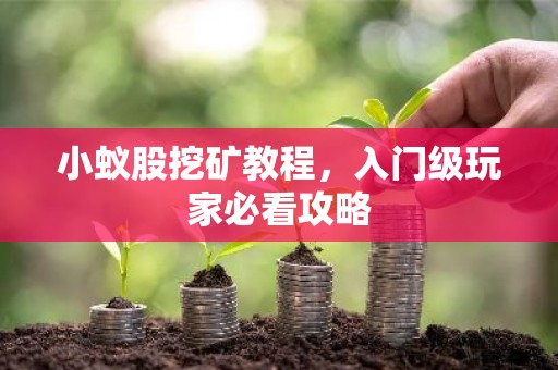小蚁股挖矿教程，入门级玩家必看攻略