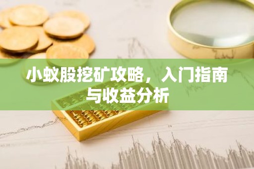 小蚁股挖矿攻略，入门指南与收益分析