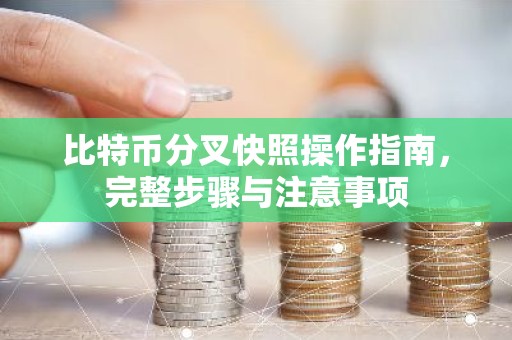 比特币分叉快照操作指南，完整步骤与注意事项