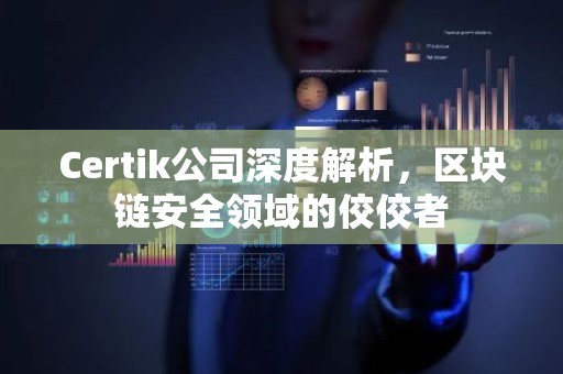 Certik公司深度解析，区块链安全领域的佼佼者