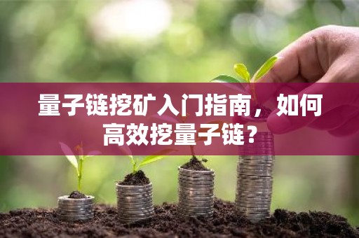 量子链挖矿入门指南，如何高效挖量子链？