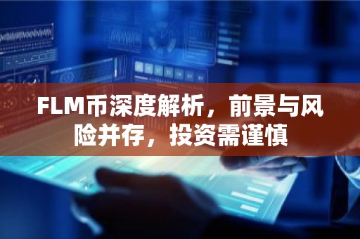 FLM币深度解析，前景与风险并存，投资需谨慎
