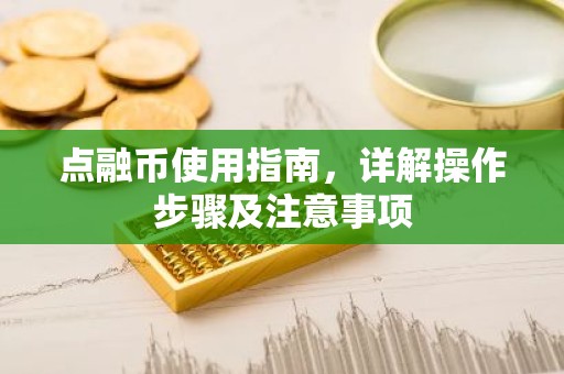 点融币使用指南，详解操作步骤及注意事项