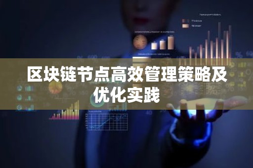 区块链节点高效管理策略及优化实践