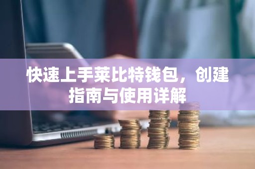 快速上手莱比特钱包，创建指南与使用详解