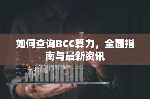 如何查询BCC算力，全面指南与最新资讯