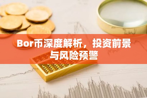 Bor币深度解析，投资前景与风险预警
