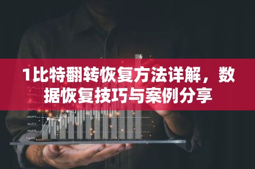 1比特翻转恢复方法详解，数据恢复技巧与案例分享