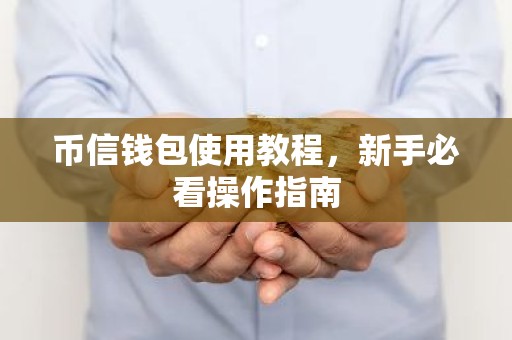 币信钱包使用教程，新手必看操作指南
