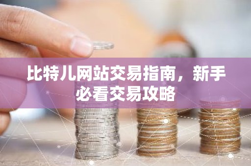 比特儿网站交易指南，新手必看交易攻略