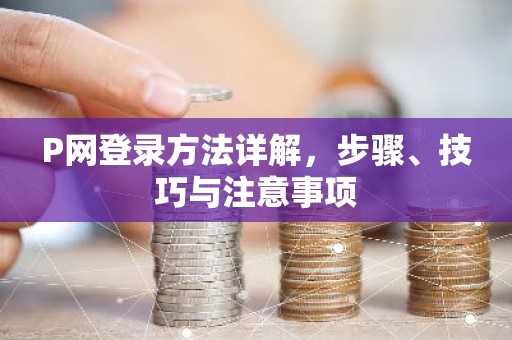 P网登录方法详解，步骤、技巧与注意事项