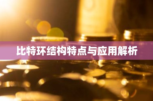 比特环结构特点与应用解析