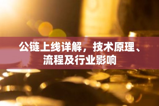 公链上线详解，技术原理、流程及行业影响