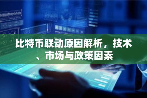比特币联动原因解析，技术、市场与政策因素