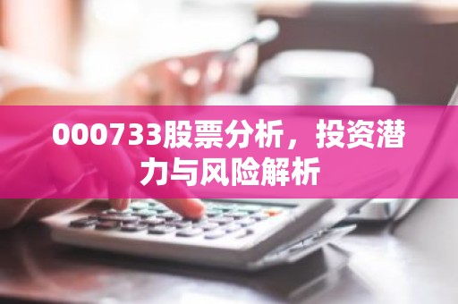 000733股票分析，投资潜力与风险解析