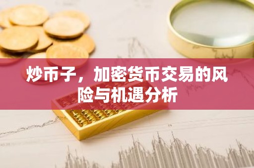 炒币子，加密货币交易的风险与机遇分析