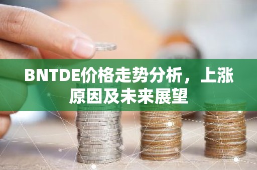 BNTDE价格走势分析，上涨原因及未来展望