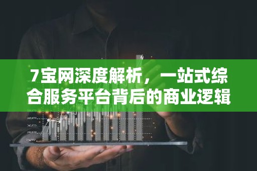 7宝网深度解析，一站式综合服务平台背后的商业逻辑