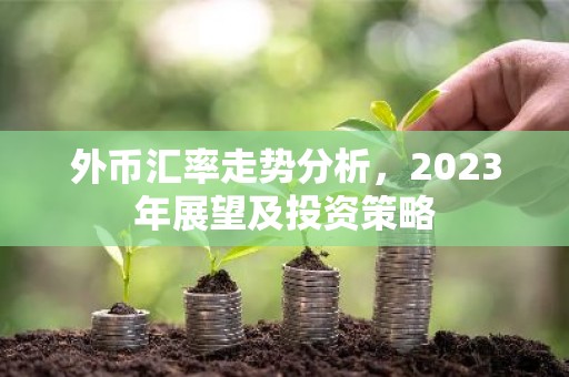 外币汇率走势分析，2023年展望及投资策略