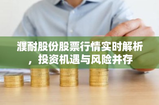 濮耐股份股票行情实时解析，投资机遇与风险并存