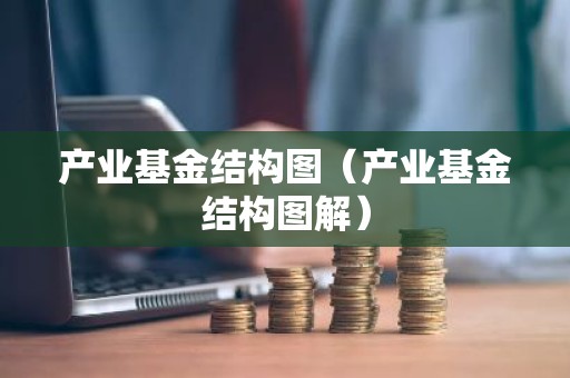 产业基金结构图（产业基金结构图解）