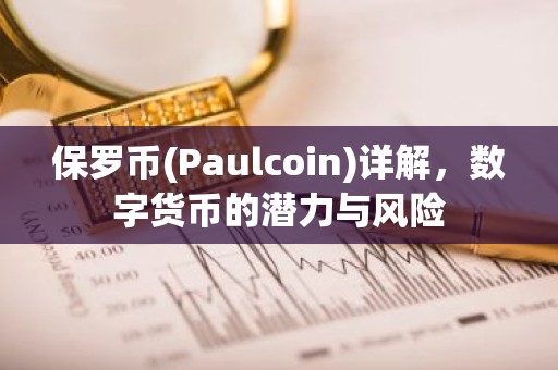 保罗币(Paulcoin)详解，数字货币的潜力与风险