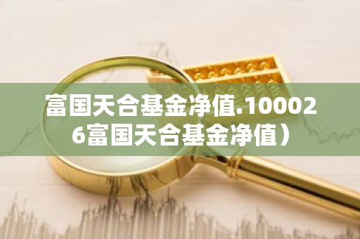 富国天合基金净值.100026富国天合基金净值）