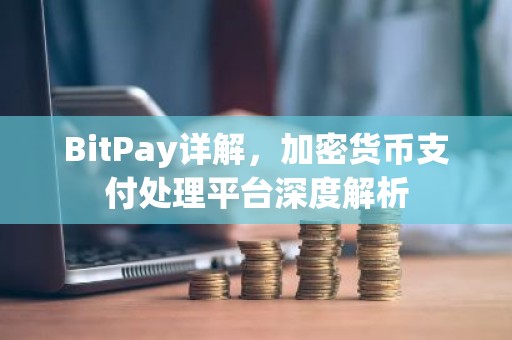 BitPay详解，加密货币支付处理平台深度解析