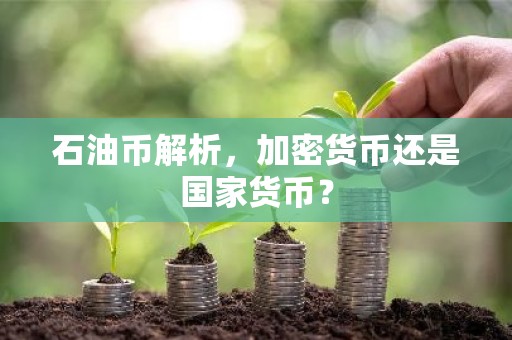 石油币解析，加密货币还是国家货币？