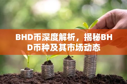 BHD币深度解析，揭秘BHD币种及其市场动态