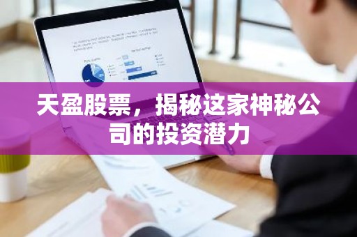 天盈股票，揭秘这家神秘公司的投资潜力