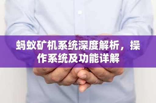 蚂蚁矿机系统深度解析，操作系统及功能详解
