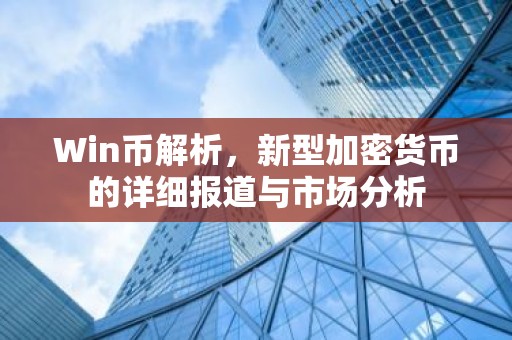 Win币解析，新型加密货币的详细报道与市场分析