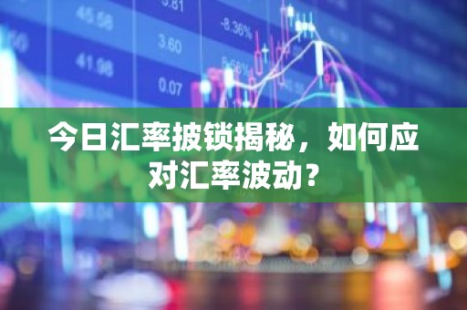 今日汇率披锁揭秘，如何应对汇率波动？
