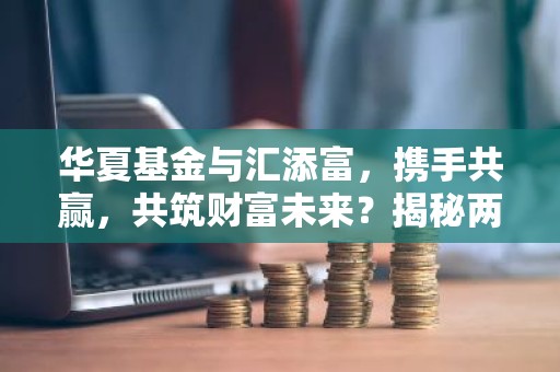 华夏基金与汇添富，携手共赢，共筑财富未来？揭秘两大基金巨头合作之谜！