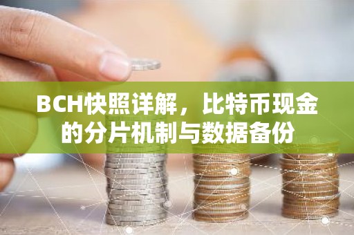 BCH快照详解，比特币现金的分片机制与数据备份