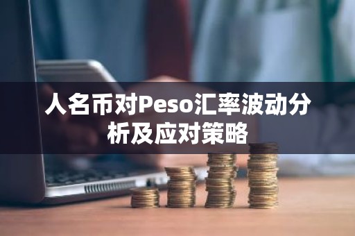 人名币对Peso汇率波动分析及应对策略