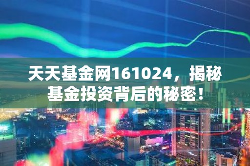 天天基金网161024，揭秘基金投资背后的秘密！