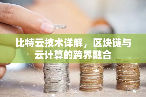 比特云技术详解，区块链与云计算的跨界融合