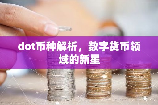 dot币种解析，数字货币领域的新星
