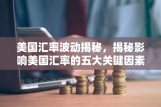 美国汇率波动揭秘，揭秘影响美国汇率的五大关键因素